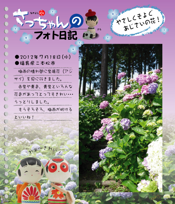さっちゃんのフォト日記　やさしくそよぐあじさいの花！●2012年7月18日（水）●福島県二本松市　梅雨の晴れ間に紫陽花（アジサイ）を見に行きました。赤紫や青色、青紫といろんな花色があってとってもきれい…うっとりしました。もうそろそろ、梅雨が明けるといいね！