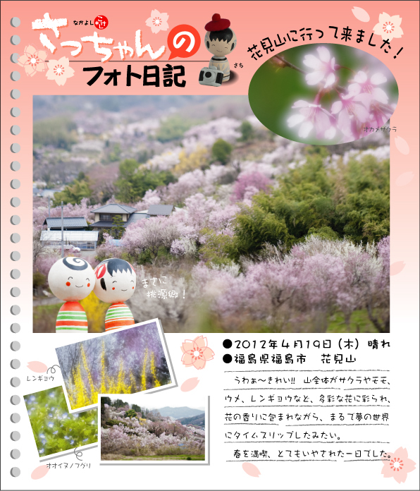 さっちゃんのフォト日記　花見山に行って来ました！●2012年４月19日（木）晴れ●福島県福島市　花見山　うわぁ～きれい!!　山全体がサクラやモモ、ウメ、レンギョウなど、多彩な花に彩られ、花の香りに包まれながら、まるで夢の世界にタイムスリップしたみたい。春を満喫、とてもいやされた一日でした。オカメザクラ　レンギョウ　オオイヌノフグリ
