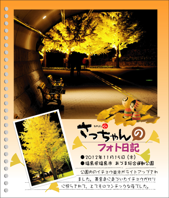 さっちゃんのフォト日記　さっちゃん銀杏並木に行く●2012年11月15日（木）●福島県福島市　あづま総合運動公園　公園内のイチョウ並木がライトアップされました。黄金色に色づいたイチョウが灯りに照らされて、とてもロマンチックな夜でした。