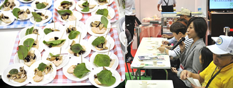 20120905_09.jpg