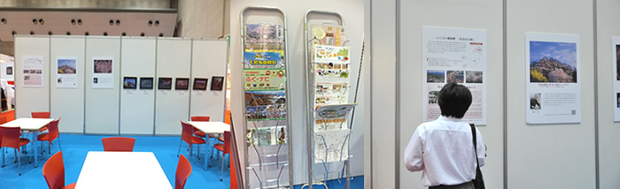 201209_sien_01.jpg
