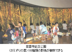 紫雲寺記念公園(さえずりの里)100種類の野鳥が観察できる