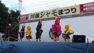 DSCF0335.jpg